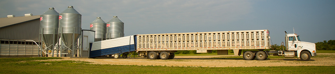 BSM1cropped