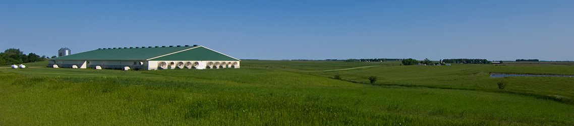 farm